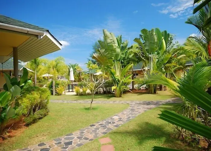 Palm Garden